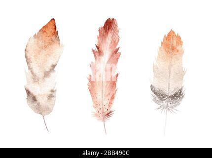 Set of feathers, hand painted watercolor clipart, illustration on white background. Boho style clipart. Banque D'Images
