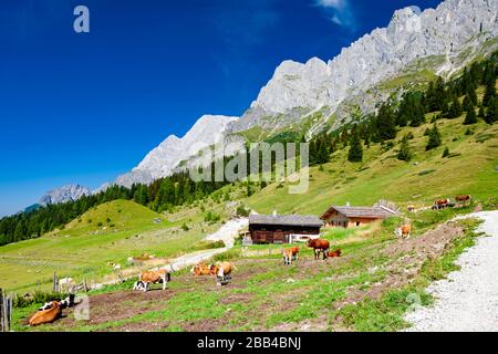 Alpes autrichiennes, à proximité et Arturhaus Bischofshofen Banque D'Images