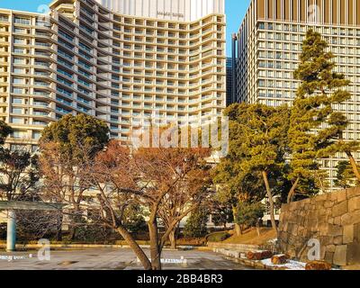Tokyo, Japon - 23 janvier 2018 : un parc dans le quartier du Palais impérial de Tokyo Banque D'Images