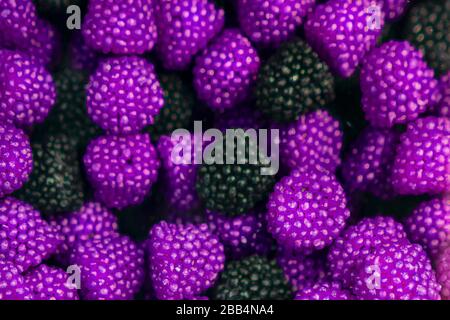 Bonbons variés en forme de gummy, framboises et bonbons en forme de BlackBerry. La vue du haut. Fond doux, violet vif et noir. Banque D'Images