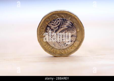 Une pièce de monnaie britannique sur fond Uni Banque D'Images