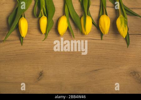 Fleurs de tulipe jaune frais avec feuilles vertes placées sur une table en bois dans une rangée, espace de copie, vue dessus, aménagement plat de la décoration de printemps. Banque D'Images