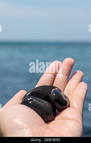 De beaux rochers le long de la plage ont des bords arrondis. Black Onyx suit la recherche géologique sur la mer. Ramassé à la main froide et humide Banque D'Images