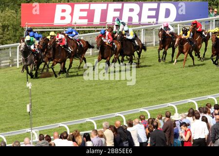 Les chevaux courent dans la télévision Betfred Oak Tree Sprend au cours du quatrième jour du glorieux festival Goodwood 2013 à l'hippodrome de Goodwood Banque D'Images