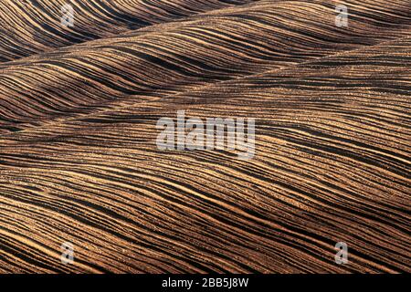 Paysage abstrait avec vagues de terre labourées. Région de la Moravie du Sud, République tchèque Banque D'Images