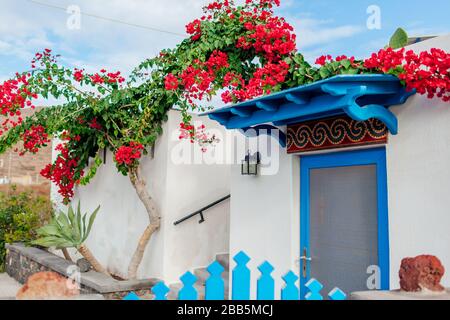 Architecture traditionnelle dans le village d'Akrotiri sur l'île de Santorin Grèce. Maison blanche portes bleues bougainvillea fleurs. Banque D'Images