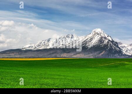 Les sommets enneigés des montagnes et le champ vert dans le parc national de Spring High Tatras, en Slovaquie. Photographie de paysage Banque D'Images