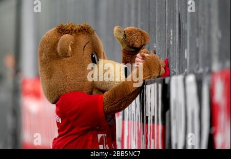 Bayern Munich mascotte Berni l'ours avant le lancement Banque D'Images