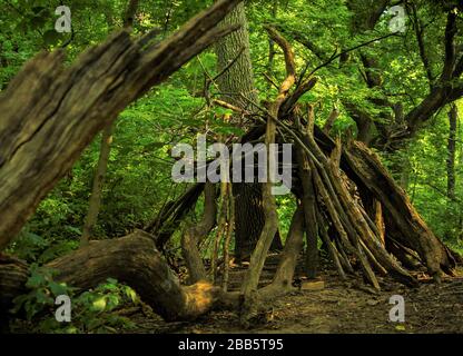 Cabane faite de branches dans les bois. Banque D'Images