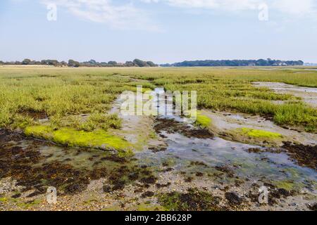 Contrebandiers Lane et Ferry zones difficiles de marais salttiaux à marée basse, Bosham, un petit village de Chichester Harbour, West Sussex, côte sud de l'Angleterre Banque D'Images