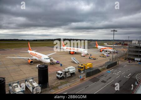 La photo du 30 mars 2020 montre des avions EasyJet mis à la terre à l'aéroport de Luton lundi matin après que la compagnie a mis à la terre la flotte d'avions en raison de l'éclosion de Coronavirus. Des rangées d'avions EasyJet ont été vues aujourd'hui alignées à l'aéroport de Luton (LUN) après que l'entreprise ait mis à la terre toute sa flotte d'avions en raison de la pandémie de coronavirus. Les 344 avions de la compagnie aérienne resteront à présent à la terre et la compagnie a travaillé avec Union Unite pour convenir de deux mois d'arrangements en congé de fourrure pour l'équipage de cabine, ce qui signifie qu'ils seront payés 80 % de leur salaire. Banque D'Images