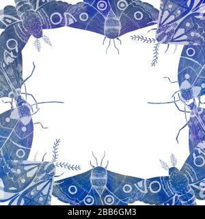 Papillon à encre dessinée à la main au cadre bleu. Cadre de modèle Banque D'Images