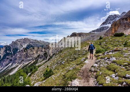 L'homme randonnée dans les Dolomites, Parc naturel de Fanes-Sennes-Braies, Tyrol du Sud, Italie Banque D'Images