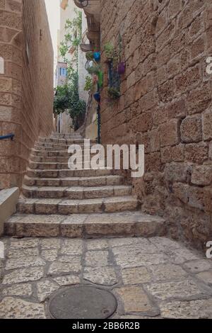 Allée étroite avec escalier et plantes suspendues dans le vieux Jaffa, Israël Banque D'Images