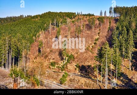 Route de campagne dans les montagnes boisées de la Harz. Banque D'Images