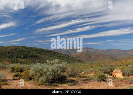 Paysages à proximité de Kharkams, près de Kammieskroon, à Namaqualand, au nord du Cap, en Afrique du Sud Banque D'Images