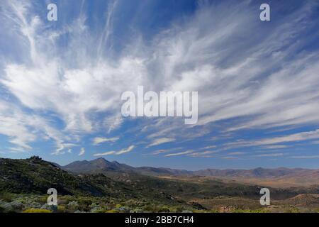 Paysages à proximité de Kharkams, près de Kammieskroon, à Namaqualand, au nord du Cap, en Afrique du Sud Banque D'Images