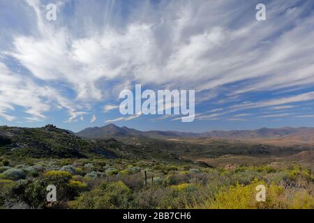 Paysages à proximité de Kharkams, près de Kammieskroon, à Namaqualand, au nord du Cap, en Afrique du Sud Banque D'Images