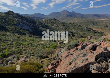 Paysages à proximité de Kharkams, près de Kammieskroon, à Namaqualand, au nord du Cap, en Afrique du Sud Banque D'Images