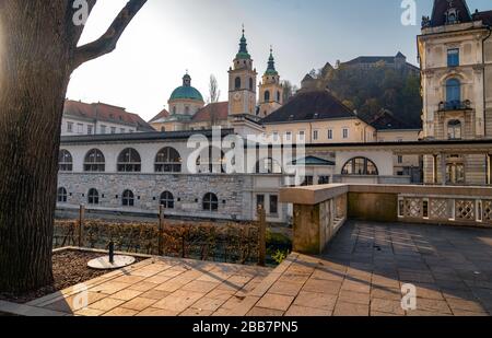 Cathédrale Saint-Nicolas et château de Ljubljana en arrière-plan en début de matinée de printemps Banque D'Images