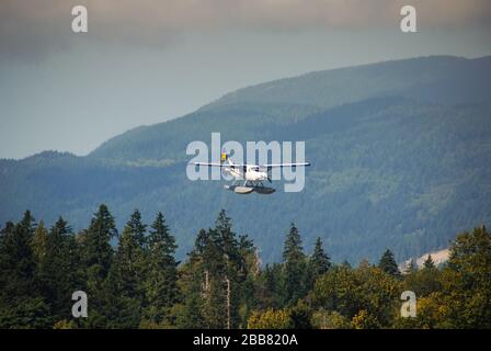 Vancouver, Canada - août 2012 : un avion à flotteur survolant les hauts des arbres dans son approche de la terre dans le port de Vancouver Banque D'Images