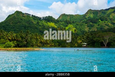 Moorea, Polynésie française -- 18 mars 2018. La magnifique île de Moorea, Polynésie française, avec des plongeurs nageant dans les eaux bleues d'un lagon. Banque D'Images