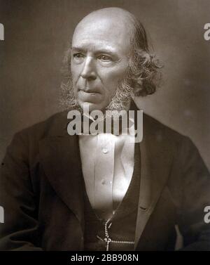 HERBERT SPENCER (1820-1903) philosophe anglais, biologiste, anthropologue, Banque D'Images