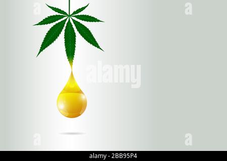 CBD huile de chanvre de cannabis médical concept d'affiche. Extrait de feuilles de marijuana déposer le modèle de conception d'étiquette de produit naturel. Illustration du vecteur eps Illustration de Vecteur