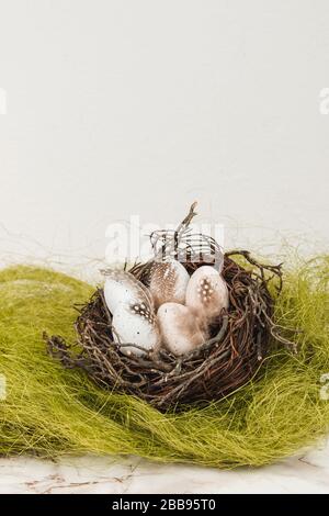 Œufs de Pâques pastel dans le nid d'oiseaux sur une herbe verte Banque D'Images