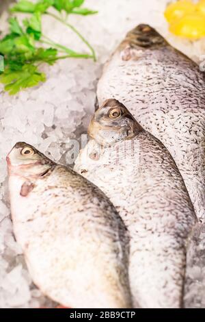 Magasin de poissons. Fruits de mer dans la fenêtre de la boutique. La viande fraîche brute est vendue sur glace sur le marché. Steaks de saumon et dorada au comptoir. Banque D'Images