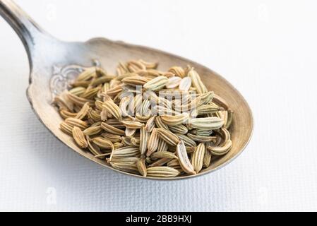 Graines de fenouil sur un spoon vintage Banque D'Images