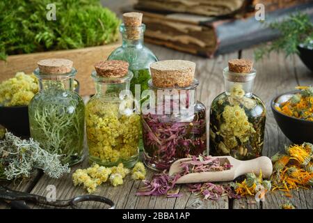 Bouteilles de perfusion d'herbes médicinales saines et de plantes curatives sur table en bois. Médecine à base de plantes. Vieux livres et boîte de mousse saine sur le fond. Banque D'Images