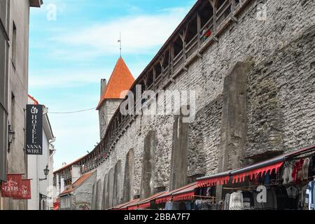 L'une des tours de la porte de la ville s'élève au-dessus du mur médiéval entourant l'ancienne ville de Tallinn, Estonie. Banque D'Images