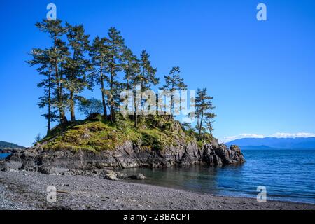 East Sooke Park, Sooke, île de Vancouver, C.-B., Canada Banque D'Images