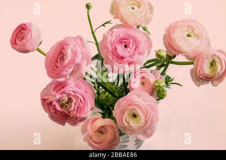 Bouquet de ranunculus asiatico ou buttercup persan dans le vase en verre sur le fond de couleur pêche. Vue de dessus, vue rapprochée. Belle carte de vœux pour mère Banque D'Images