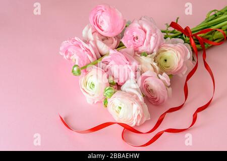 Bouquet de fleurs fraîches printanières ranunculus asiaticus ou buttrecups persan avec ruban rouge sur le fond rose, gros plan. Banque D'Images