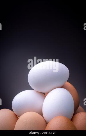 Cadre vertical de deux œufs blancs au-dessus de plusieurs œufs de poulet brun clair dans un éclairage de studio contraste avec un fond gris foncé Banque D'Images