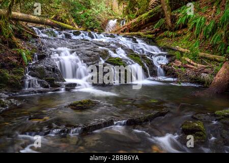 Sing Creek Falls, Chemainus, île Vancoguer, C.-B., Canada Banque D'Images