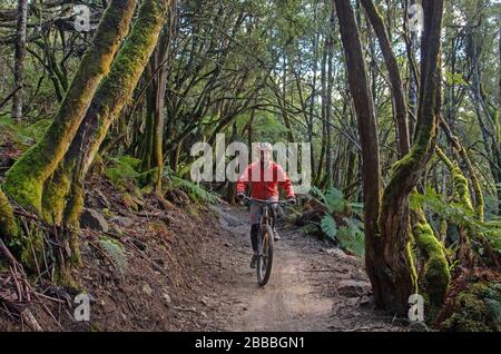 Vélo tout terrain au Maydena Bike Park Banque D'Images
