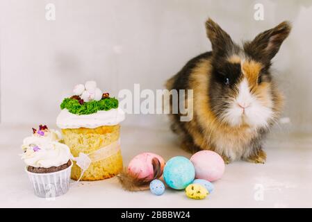 Un joli petit lapin brun à pois à côté de poulet peint et d'œufs pastel. Lapin de Pâques sur fond gris clair. Banque D'Images