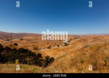 Vue sur un canyon et des tournesols des prairies (Helianthus petiolaris) au parc national de Chino Hills, Chino, Californie, États-Unis, Amérique du Nord, couleur Banque D'Images