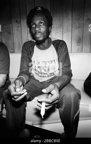 Jimmy Cliff a photographié dans le hall des studios de radio WMMR avant d'être jeté pour éclairer un étalage. Philadelphie, PA. 1979. Crédit: Scott Weiner / MediaPunch Banque D'Images