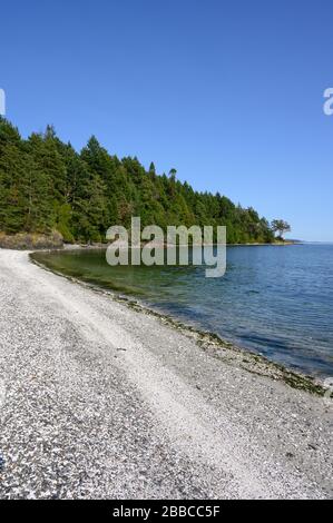 Île Portland, réserve de parc national des îles Gulf, parc national situé sur et autour des îles Gulf en Colombie-Britannique, Canada Banque D'Images