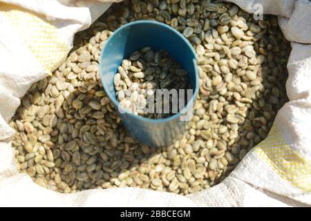 Grains de café arabica vendus sur le marché de Jimma en Ethiopie. Banque D'Images