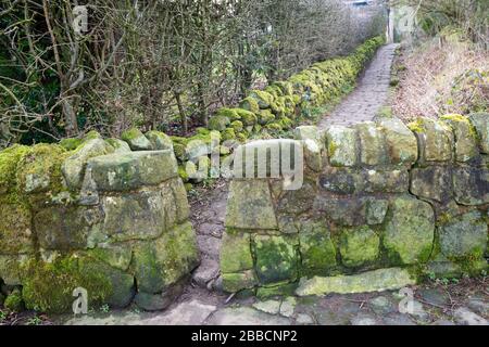 Un fossé de pierre s'étouffe sur le sentier menant de la ville d'Otley à Otley Chevin Banque D'Images