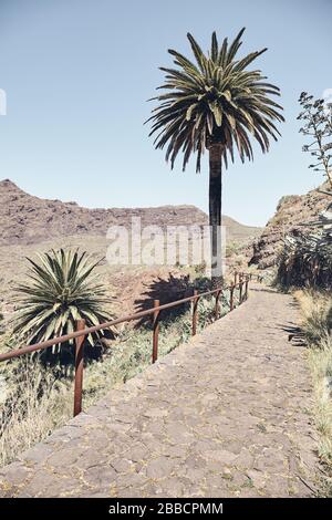 Chemin dans la zone rurale du massif Teno, situé dans la partie nord-ouest de Tenerife, image aux tons de couleur, Espagne. Banque D'Images
