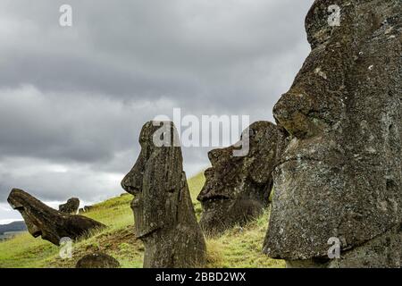 Beaucoup de moai se dirige dans la carrière de Rano Raraku Banque D'Images