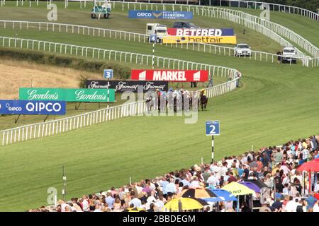 Les chevaux courent dans la télévision Betfred Oak Tree Sprend au cours du quatrième jour du glorieux festival Goodwood 2013 à l'hippodrome de Goodwood Banque D'Images