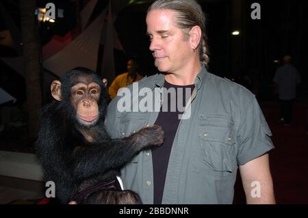 MIAMI BEACH, FL - 30 AVRIL: (COUVERTURE EXCLUSIVE) de la série télévisée à succès Netflix Bhagavan 'doc' Antle possède l'Institut pour les espèces très en danger et rares, (T.I.G.E.R.S.) de Myrtle Beach, Caroline du Sud vu ici en 2004 dans une rare image avec des bulles la cheminée à Miami Beach, Floride personnes: Bhagavan 'doc' Antle Credit: Groupe médias de tempêtes/Alay Live News Banque D'Images