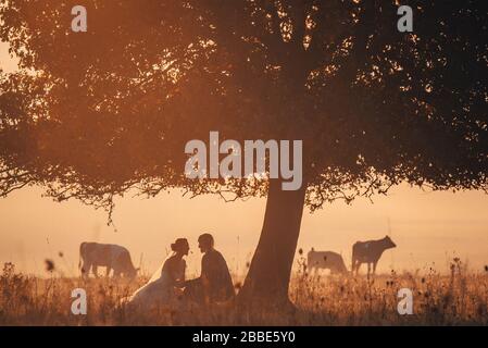Photo de mariage, mariée et marié en automne nature, pâturage d'animaux de vache en arrière-plan Banque D'Images